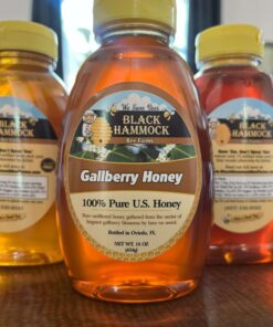 gallberry Honey, fresh from florida, florida honey, gallberry