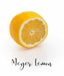 meyer lemon olive oil. meyer lemon
