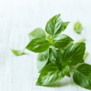 fresh basil, basil olive oil