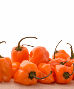 habanero olive oil, habanero