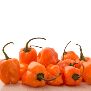habanero olive oil, habanero
