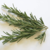 rosemary olive oil, rosemary