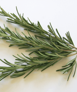 rosemary olive oil, rosemary